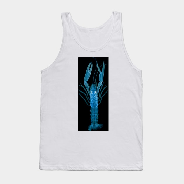 Langoustine, X-ray (Z220/0125) Tank Top by SciencePhoto